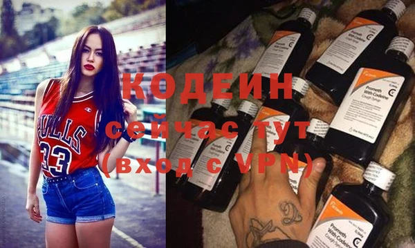 сатива Инта