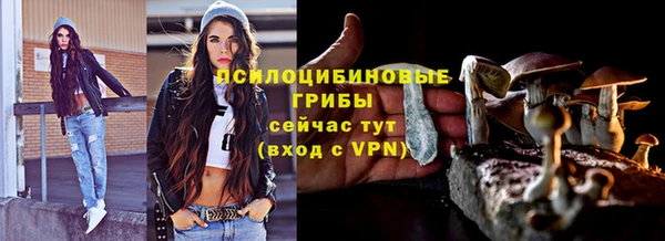 прущая мука Алзамай