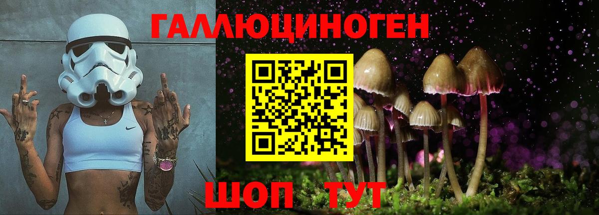 Галлюциногенные грибы ЛСД  Вход с VPN  Гусь-Хрустальный 